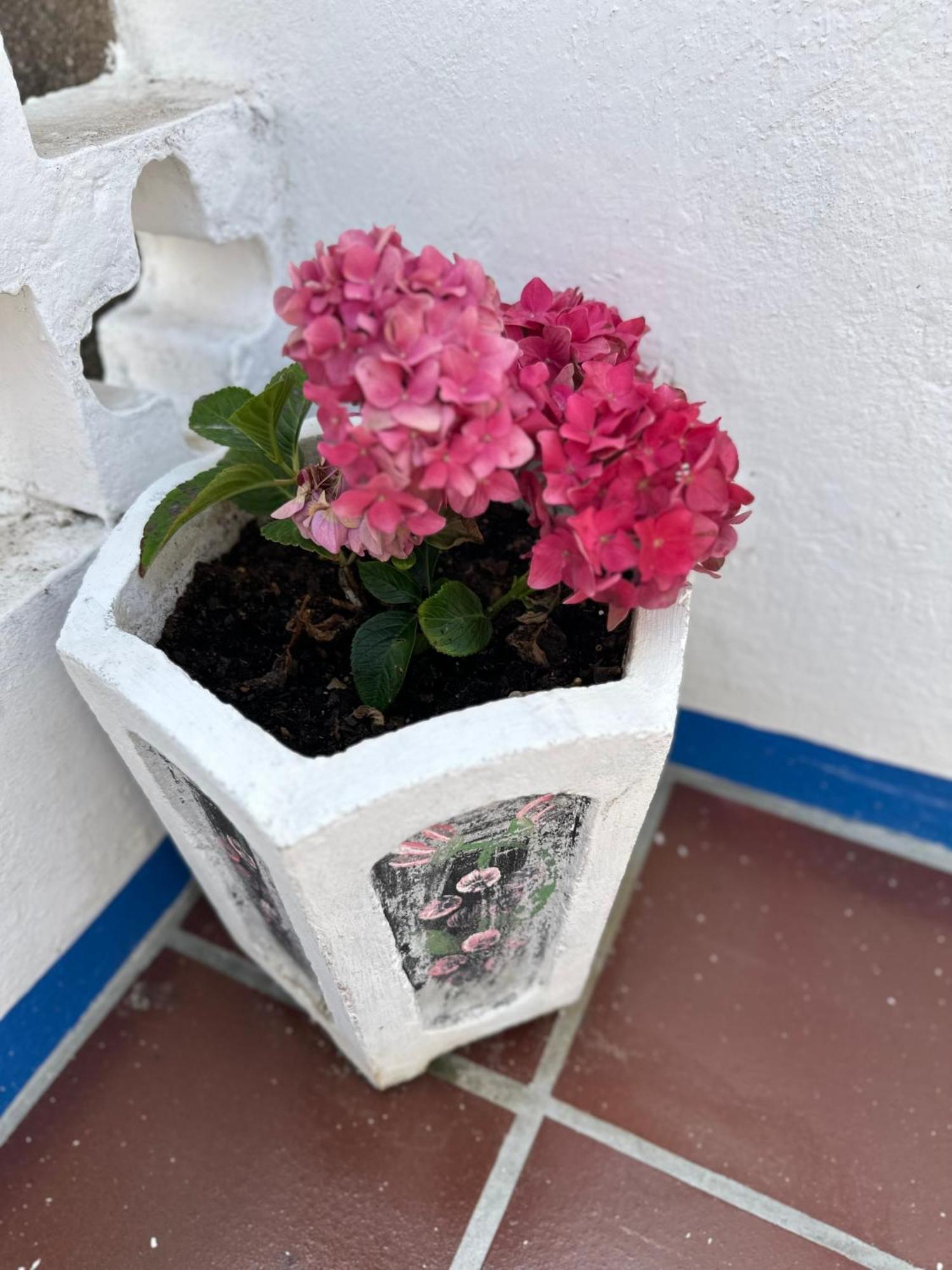 Casa Do Poco Bed & Breakfast Óbidos Dış mekan fotoğraf